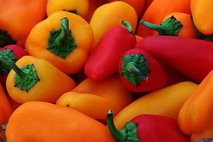 red and orange bell peppers