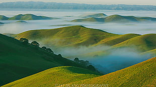 aerial view of hills covered with fog during day time