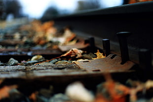 train track