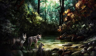 three wolves near bodies of water painting HD wallpaper