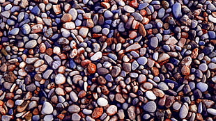 assorted-color pebble lot, Stones, Gravel, Surface HD wallpaper