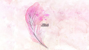 pink feather clip art, supreme, nature, landscape HD wallpaper