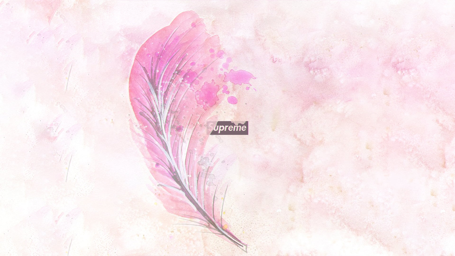 Pink feather clip art, supreme, nature