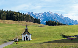 cathedral on middle of grass field, maria alm HD wallpaper
