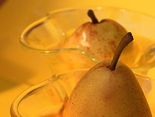 Pear fruit HD wallpaper
