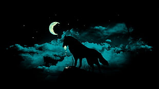 silhouette of horse digital wallpaper, wolf
