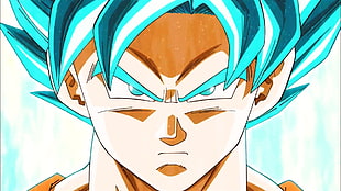 Son Goku, Dragon Ball Super, Son Goku, Super Saiyan Blue HD wallpaper