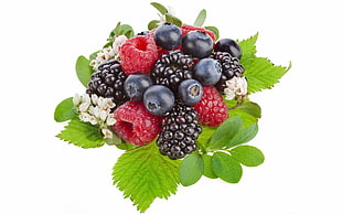 raspberry fruit, blue berry, and black berry fruit HD wallpaper