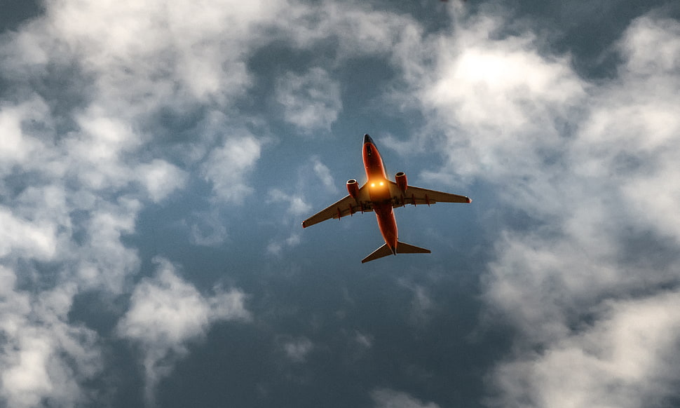 red and white airplane HD wallpaper