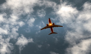 red and white airplane