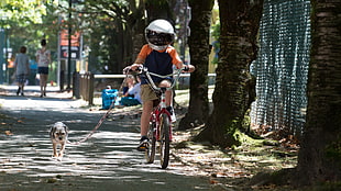 boy in blue shirt riding bike with brown dog HD wallpaper