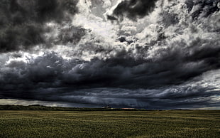 green field, landscape, sky, clouds, field HD wallpaper