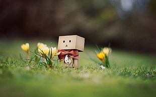 brown box man on flowers photography