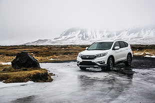 white and black Honda SUV
