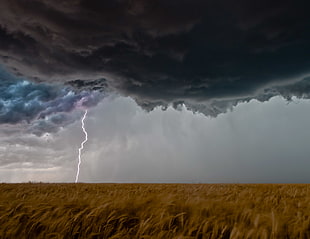 wheat field, nature, landscape, lightning, long exposure HD wallpaper