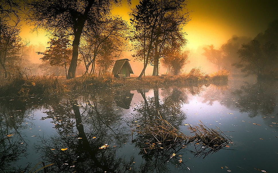 reflection of brown house between trees on body of water, lake, mist, hut, trees HD wallpaper