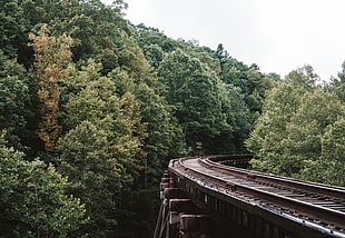 brown railway, Railway, Trees, Sky HD wallpaper