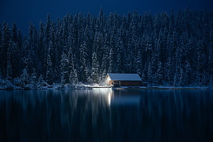 brown and white house, photography, nature, cabin, winter