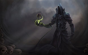 man with skull on hand illustration, Diablo, Diablo III, fantasy art, digital art