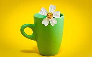 green ceramic mug with white petaled flower on top in yellow background HD wallpaper