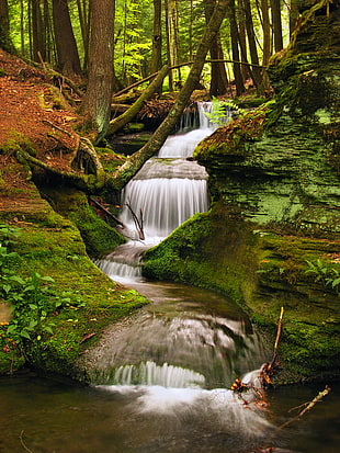 timelapse photography of clear waterfalls surrounded by green moss and green leaf trees