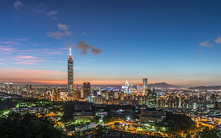 gray high-rise building, cityscape, landscape, Taipei 101 HD wallpaper