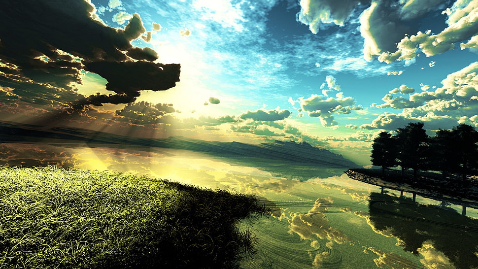 green leaf tree, nature HD wallpaper