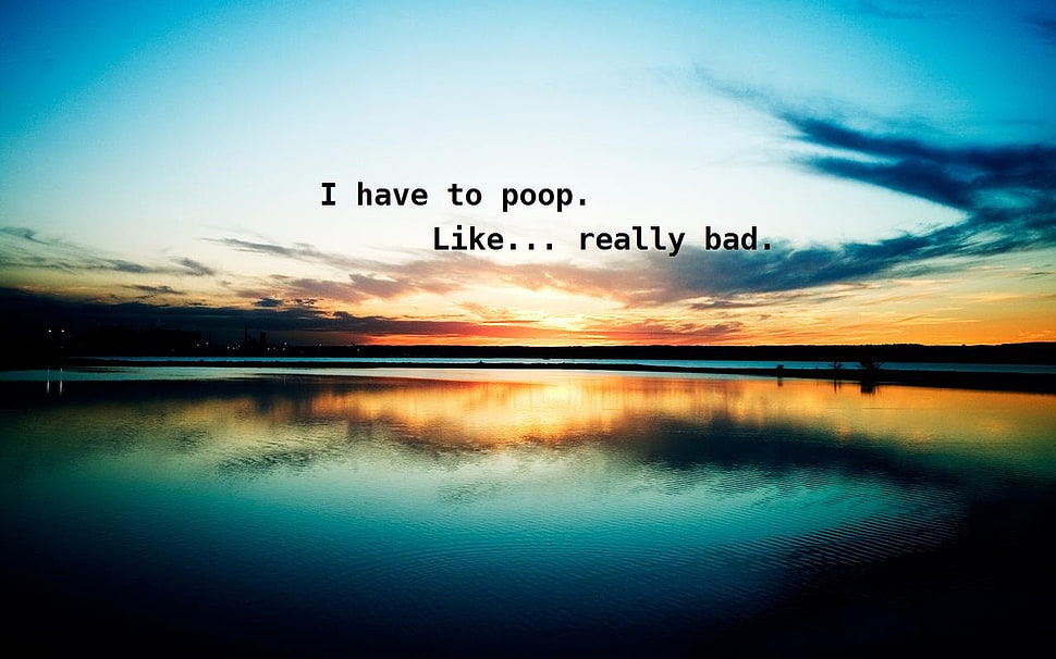 i have to poop like really bad text overlay, quote HD wallpaper