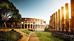 Coloseum, Rome, Italy HD wallpaper