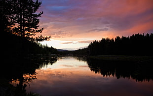 silhouette of trees, lake, clouds, sunset, reflection