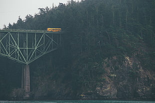 grey bridge, bridge, forest, buses, rocks HD wallpaper