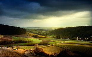 green field of grass and trees during noon time