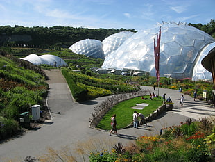 two clear greenhouses, landscape HD wallpaper