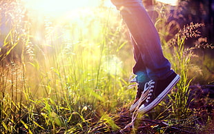 pair of black-and-white lace-up sneakers, shoes, jumping, sunlight