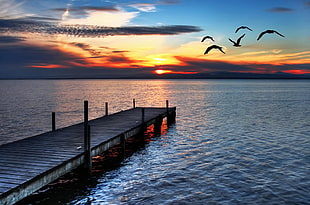 black wooden dock, sunset, seagulls, clouds