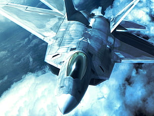 gray aircraft wallpaper, jet fighter, aircraft, F22-Raptor, Ace Combat