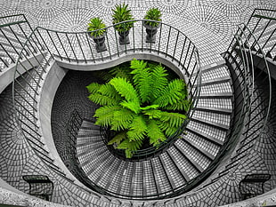 gray spiral staircase with green indoor shrub in the middle