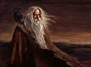 man wearing robe with raven, painting, Vikings, mythology, Odin HD wallpaper