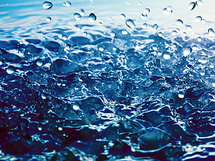 water splash, water, water drops, macro, waves HD wallpaper