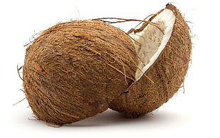 brown coconut HD wallpaper