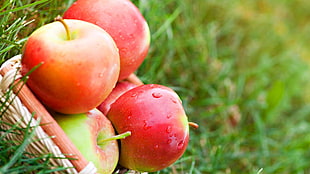 red apple fruits, apples, food HD wallpaper