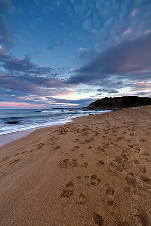 brown sand with foot steps in day light, warriewood beach