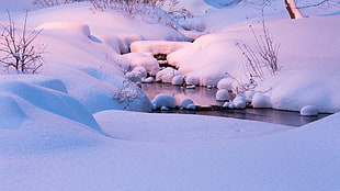 snow and river, river, snow, winter, landscape HD wallpaper
