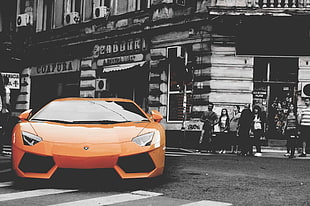 orange Lamborghini Aventador coupe, vehicle, car, orange cars, Lamborghini