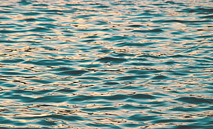 body of water during daytime