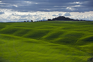 green glass field, tuscany HD wallpaper