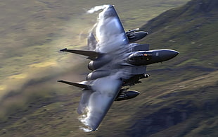 grey aircraft, jet fighter, aircraft, F-15 Eagle, military aircraft HD wallpaper