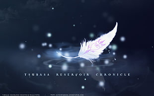 white feather illustration with text overlay, Tsubasa: Reservoir Chronicle, feathers, ripples HD wallpaper
