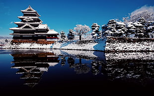 brown house and snow covered trees, building, Matsumoto Castle, Nagano, Japan