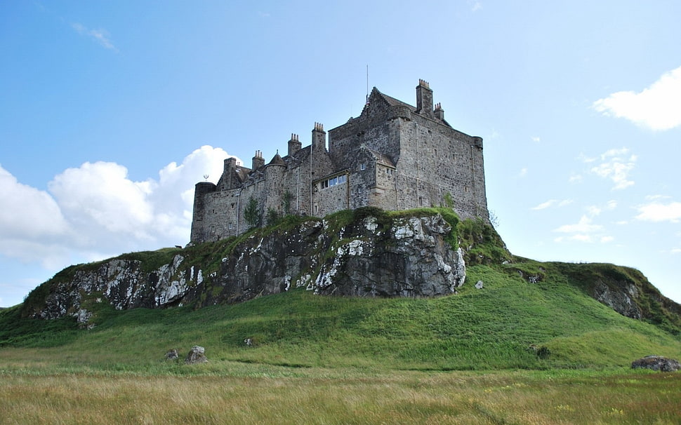 gray concrete building, castle, hill, grass, sky HD wallpaper